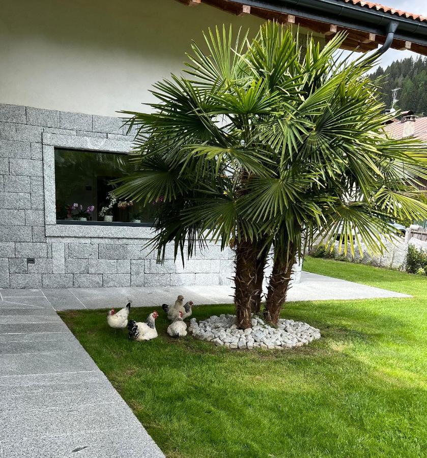 B&B Casa Il Sasso Pinzolo Dış mekan fotoğraf