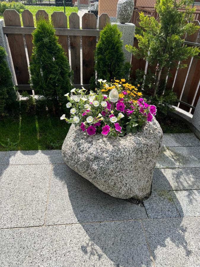 B&B Casa Il Sasso Pinzolo Dış mekan fotoğraf
